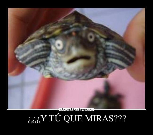 ¿¿¿Y TÚ QUE MIRAS??? -