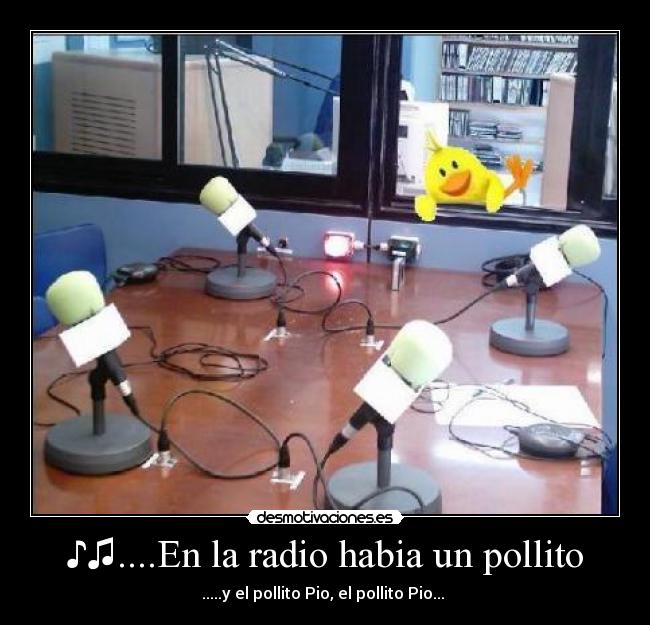 ♪♫....En la radio habia un pollito - 