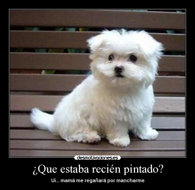 ¿Que estaba recién pintado? - Ui... mamá me regañará por mancharme