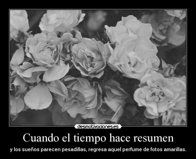 Cuando el tiempo hace resumen - y los sueños parecen pesadillas, regresa aquel perfume de fotos amarillas.