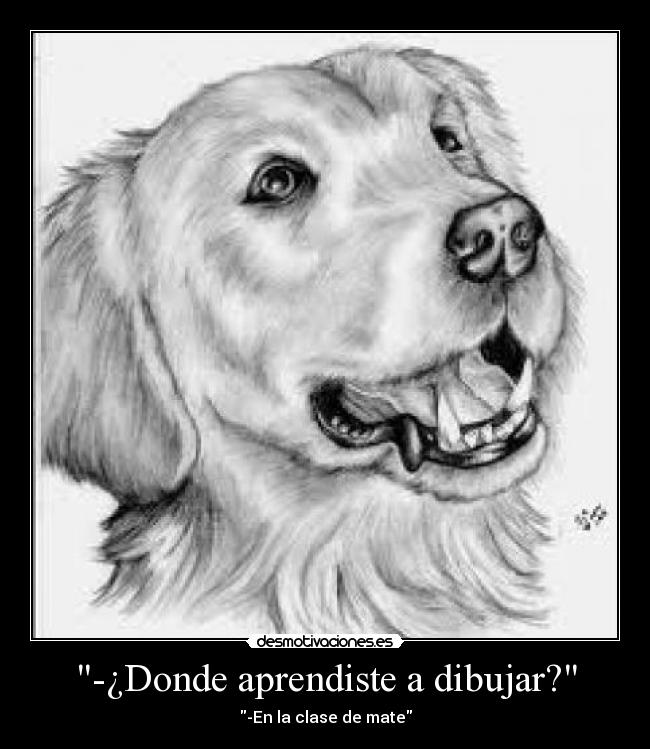 -¿Donde aprendiste a dibujar? -