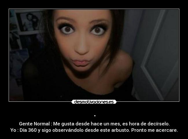 . - Gente Normal : Me gusta desde hace un mes, es hora de decírselo.
Yo : Día 360 y sigo observándolo desde este arbusto. Pronto me acercare.