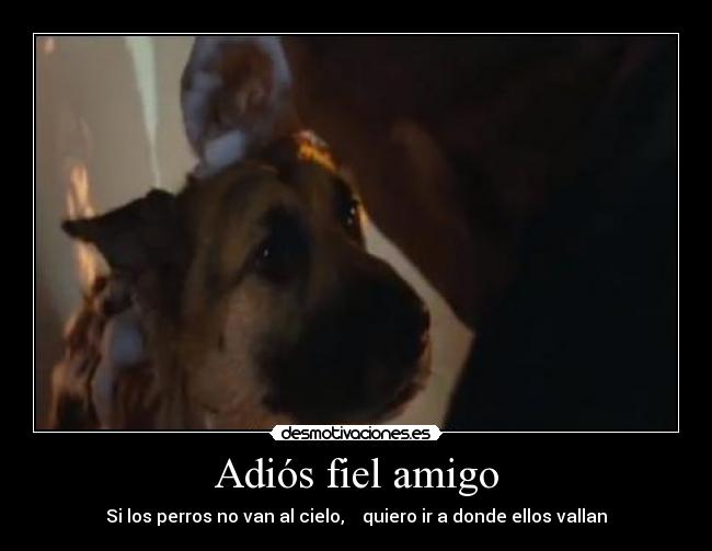 Adiós fiel amigo -