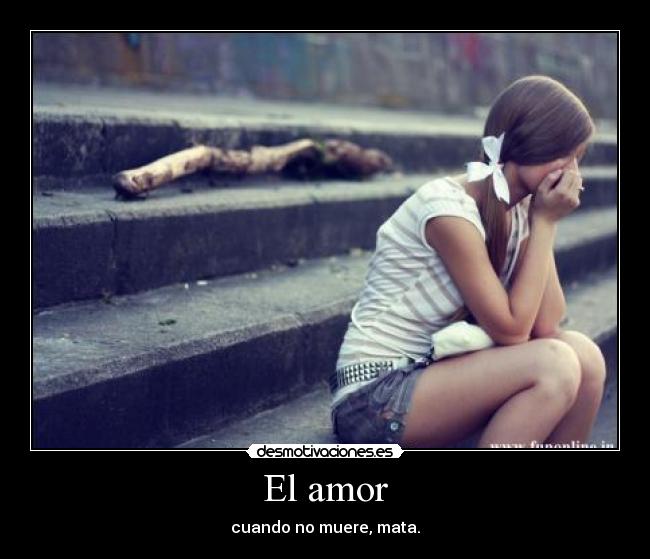 El amor - 