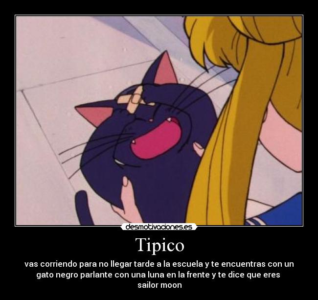 Tipico - vas corriendo para no llegar tarde a la escuela y te encuentras con un
gato negro parlante con una luna en la frente y te dice que eres 
sailor moon
