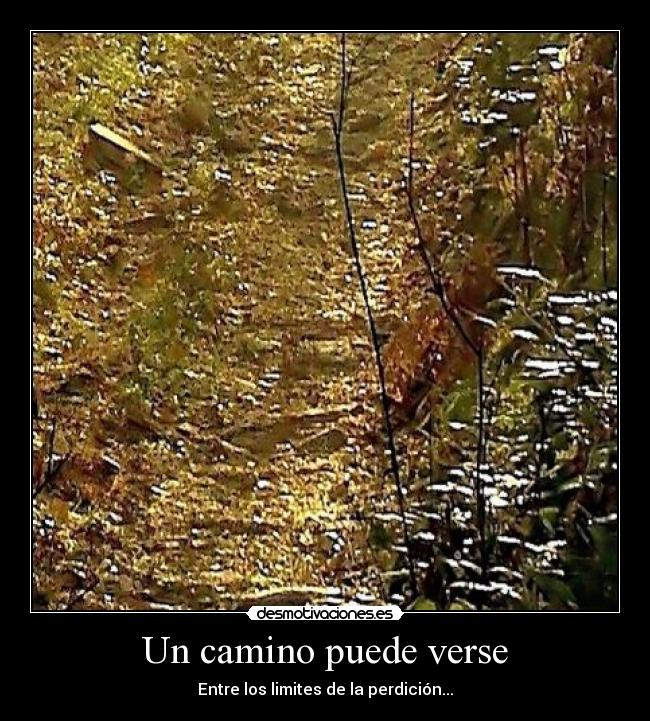 Un camino puede verse - 