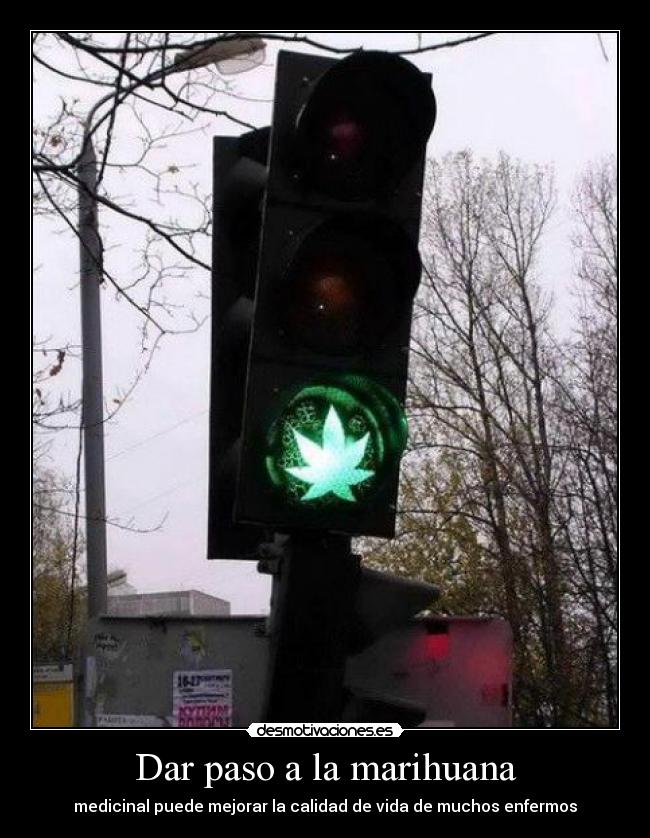 Dar paso a la marihuana - medicinal puede mejorar la calidad de vida de muchos enfermos
