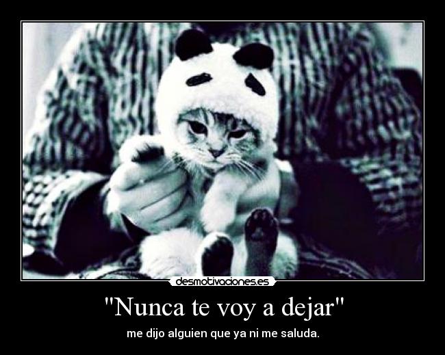 Nunca te voy a dejar -