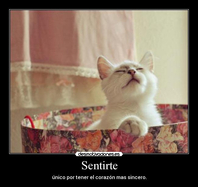 Sentirte - único por tener el corazón mas sincero.