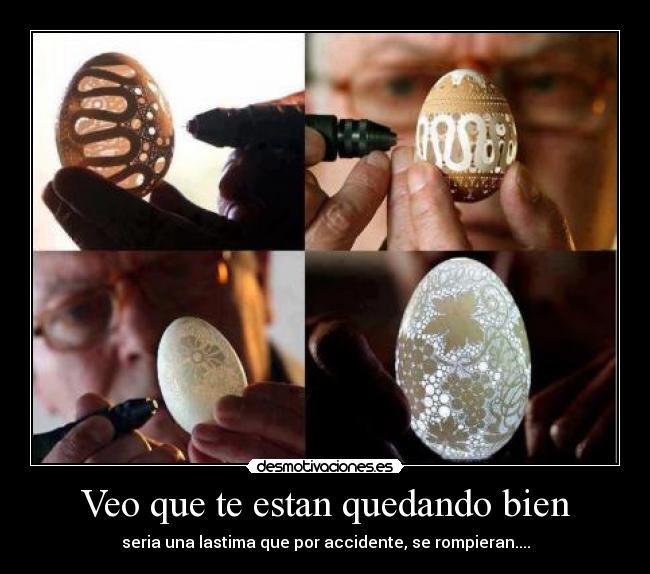 Veo que te estan quedando bien - 