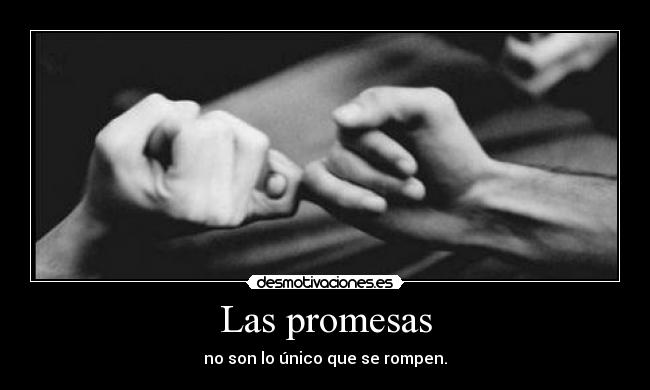 carteles promesas puta promesa desmotivaciones