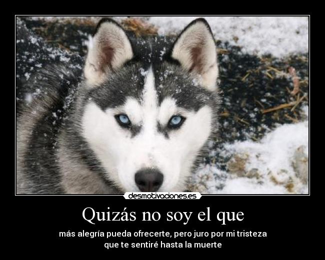 Quizás no soy el que - más alegría pueda ofrecerte, pero juro por mi tristeza
que te sentiré hasta la muerte