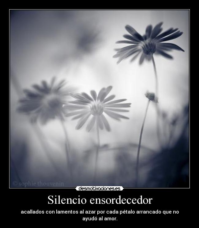 carteles silencio sora una flor dira quiere respuesta esta pregunta desmotivaciones