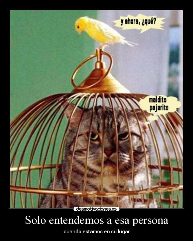 Solo entendemos a esa persona - cuando estamos en su lugar