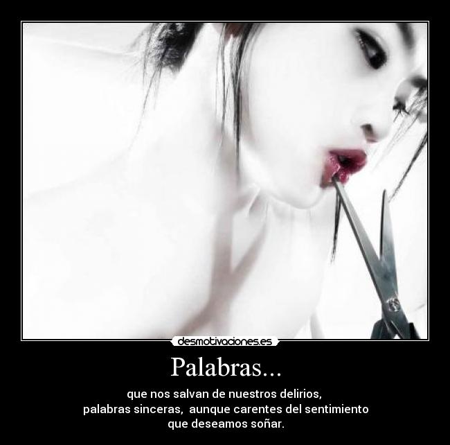 carteles solo son palabras desmotivaciones