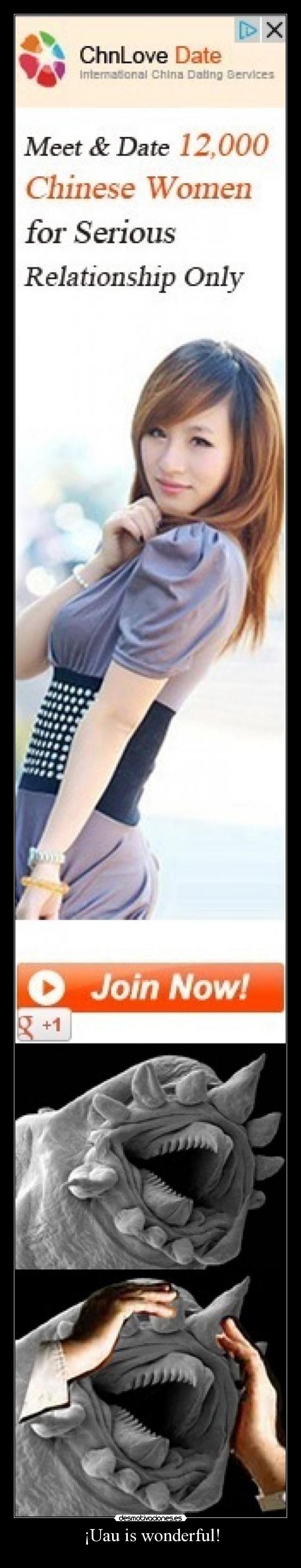 ¡Uau is wonderful! - 