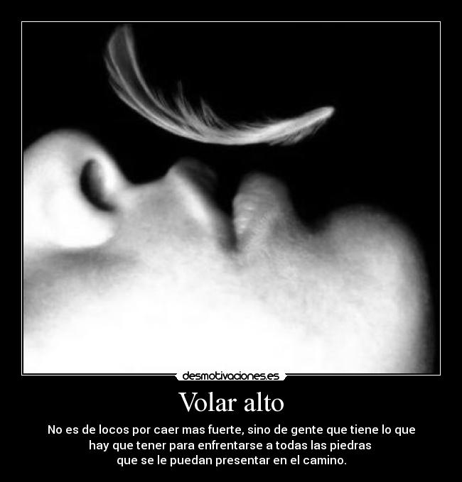 Volar alto - No es de locos por caer mas fuerte, sino de gente que tiene lo que
hay que tener para enfrentarse a todas las piedras 
que se le puedan presentar en el camino.