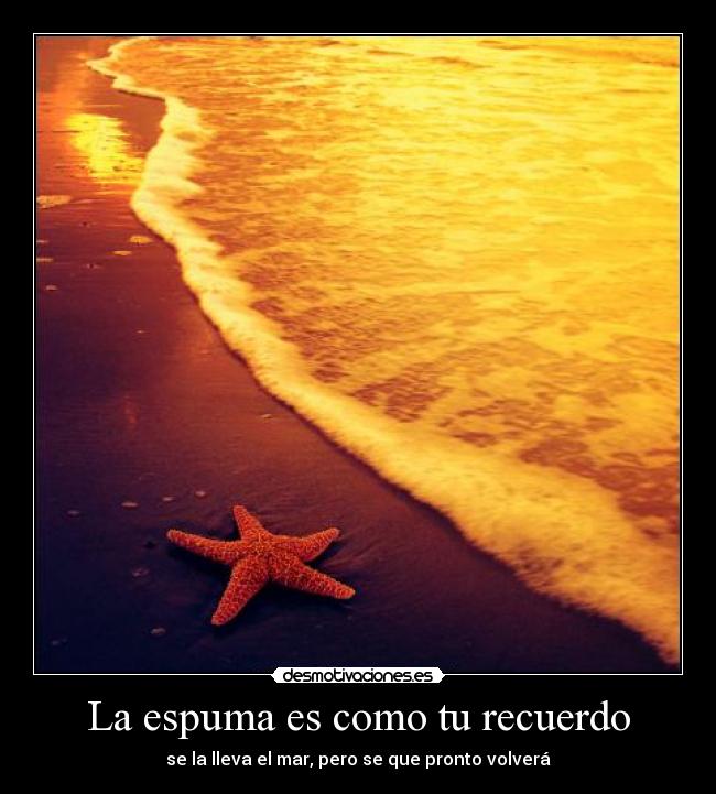 carteles espuma como recuerdo desmotivaciones