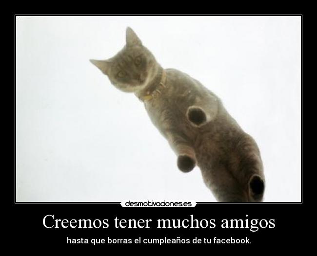 Creemos tener muchos amigos -