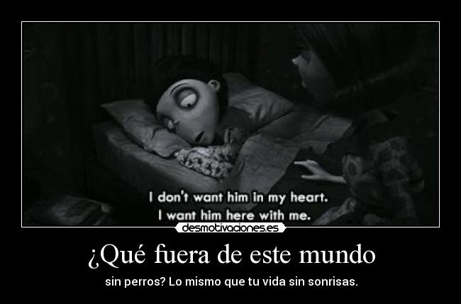 ¿Qué fuera de este mundo -