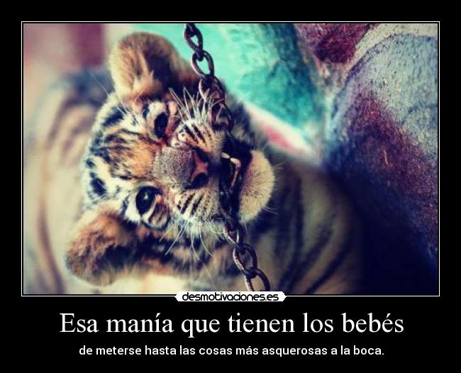 Esa manía que tienen los bebés - 