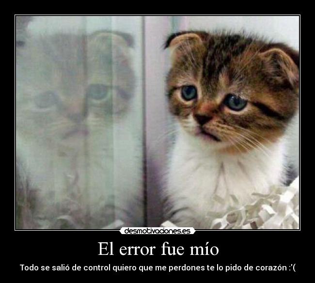 El error fue mío -