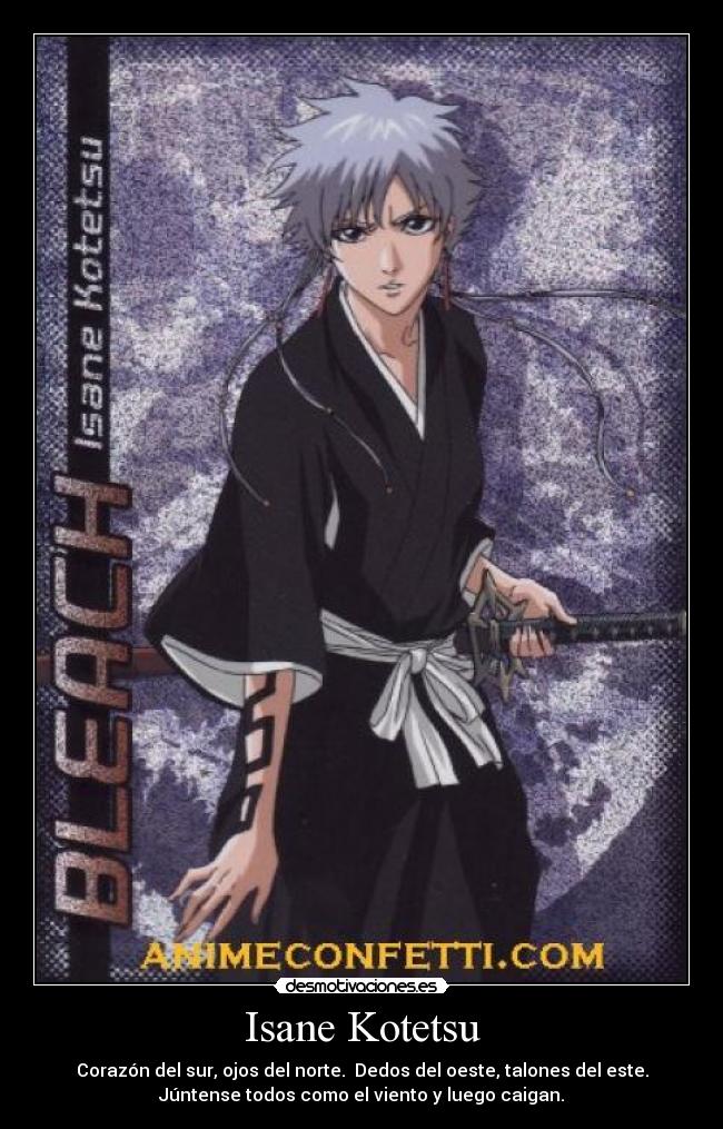 carteles isane kotetsu bleach anime manga gotei teniente escuadron desmotivaciones