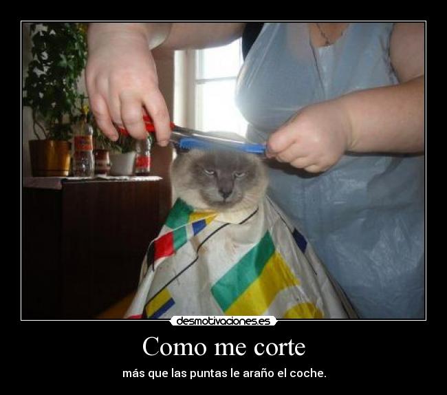 Como me corte - 