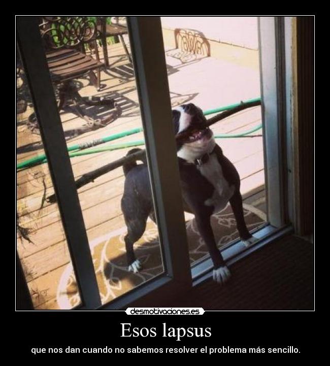 Esos lapsus - 