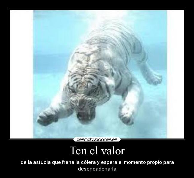 Ten el valor -