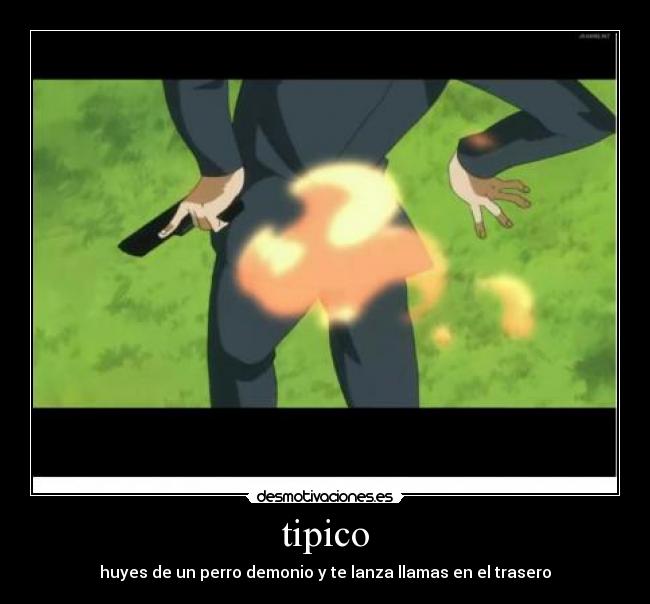 tipico -
