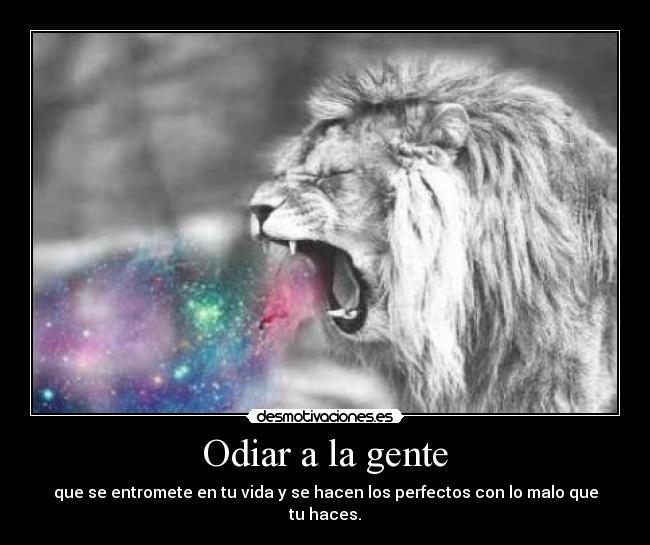 Odiar a la gente - 