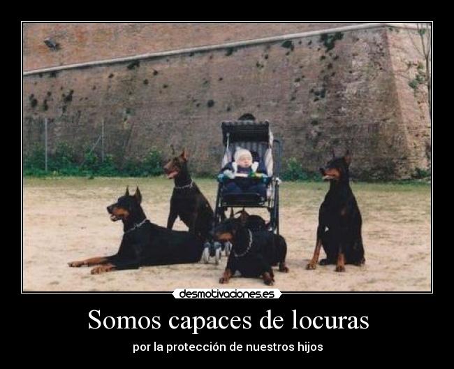 Somos capaces de locuras -