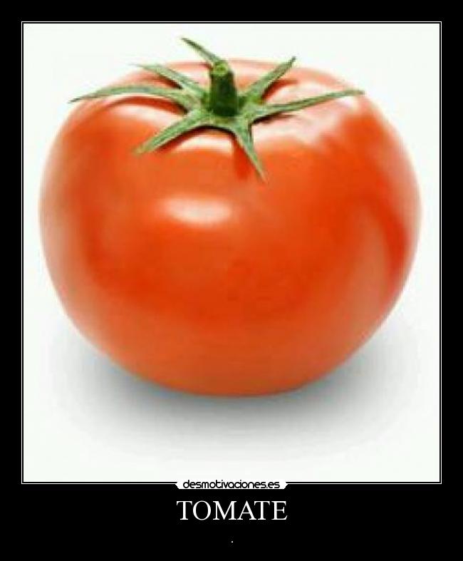 TOMATE - .
