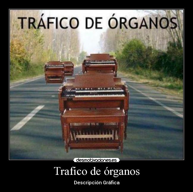 Trafico de órganos - Descripción Gráfica