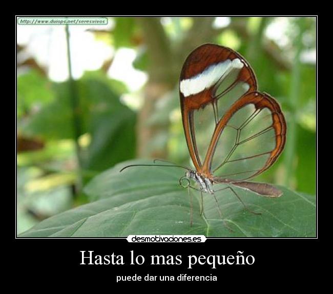 Hasta lo mas pequeño - puede dar una diferencia