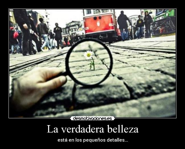 La verdadera belleza -