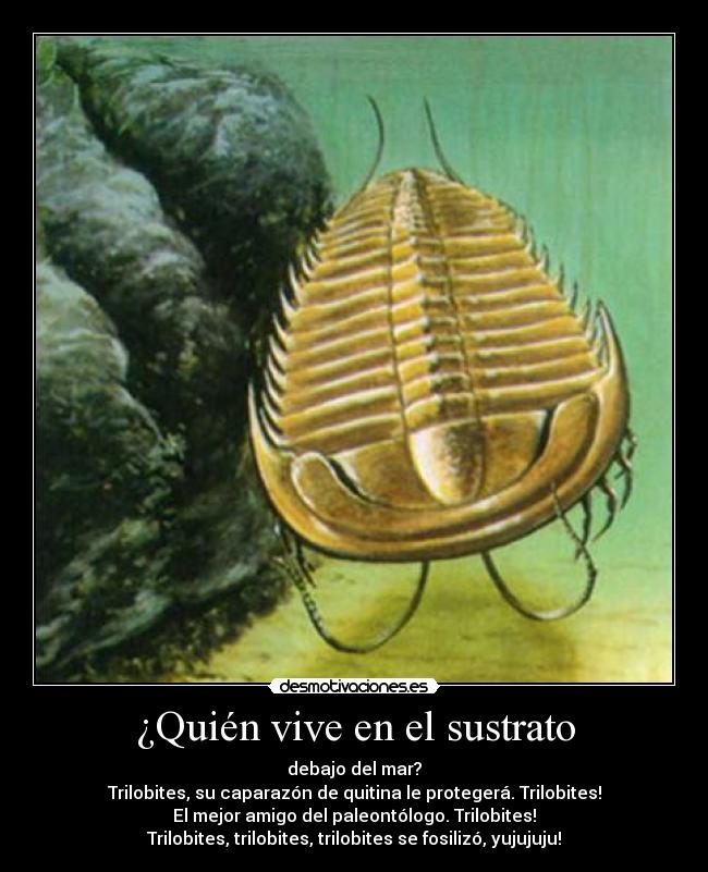 ¿Quién vive en el sustrato -