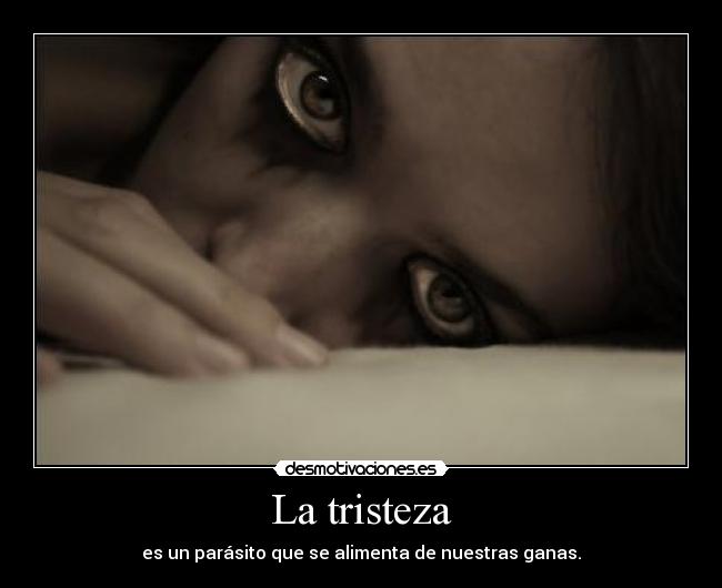 carteles tristeza tristeza desmotivaciones