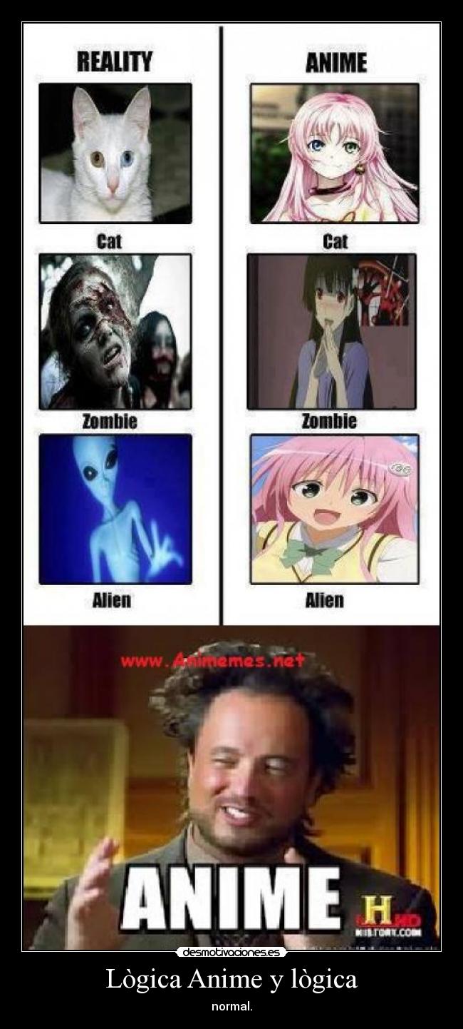Lògica Anime y lògica - normal.