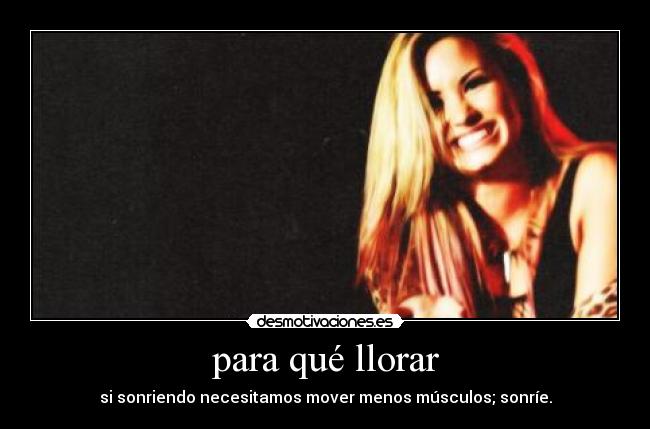 carteles llorar demilovato staystong dontcrybitch nollores sonrie desmotivaciones