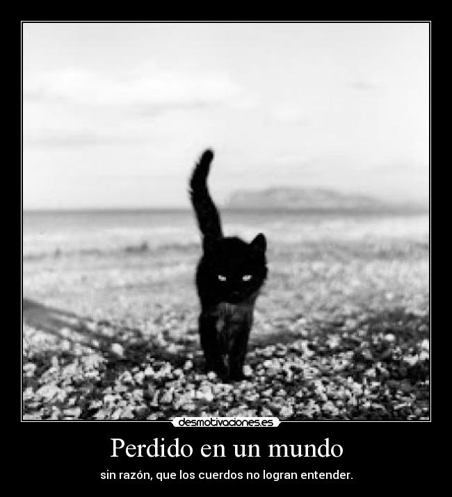 Perdido en un mundo - sin razón, que los cuerdos no logran entender.