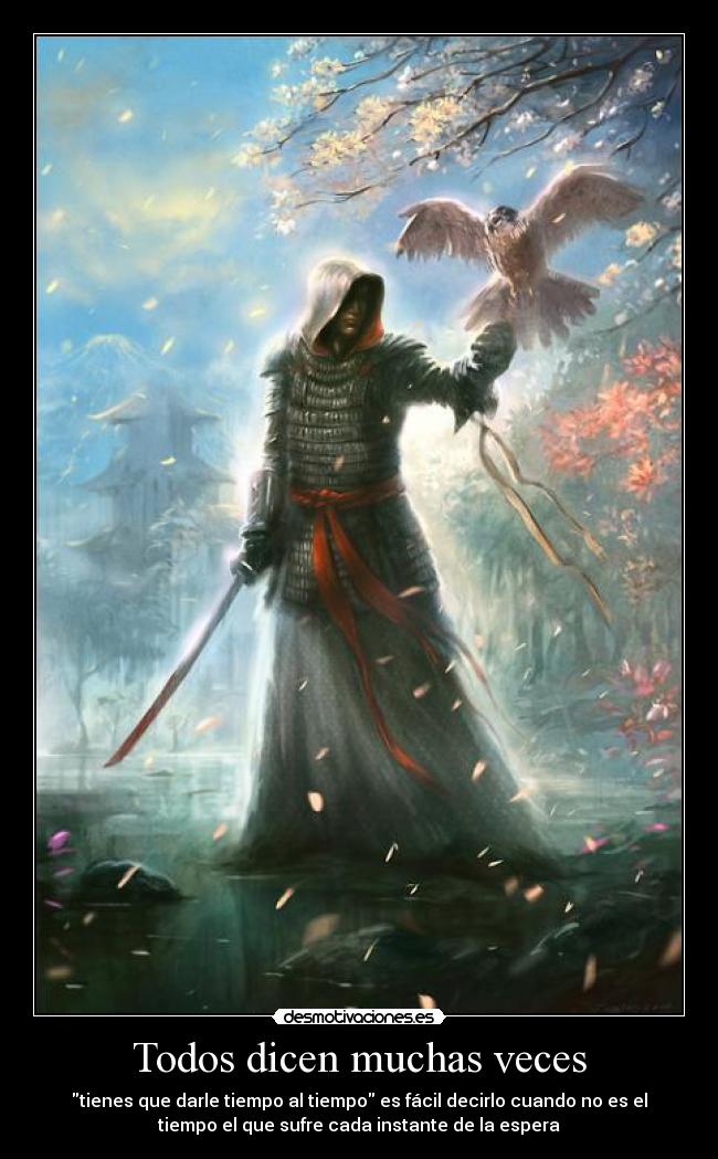 carteles assassin desmotivaciones