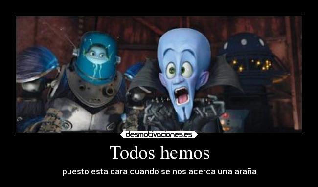 Todos hemos - puesto esta cara cuando se nos acerca una araña