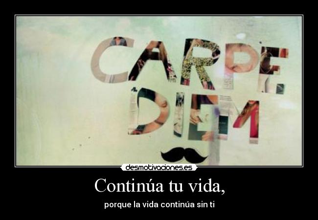 carteles vida carpe diem desmotivaciones