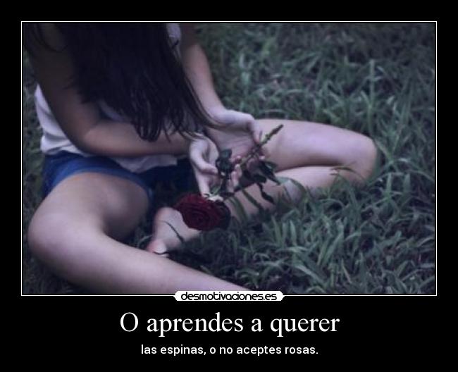 O aprendes a querer - las espinas, o no aceptes rosas.