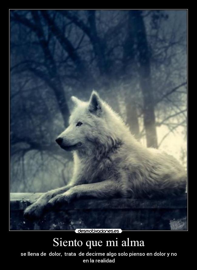 Siento que mi alma - se llena de dolor, trata de decirme algo solo pienso en dolor y no en la realidad
