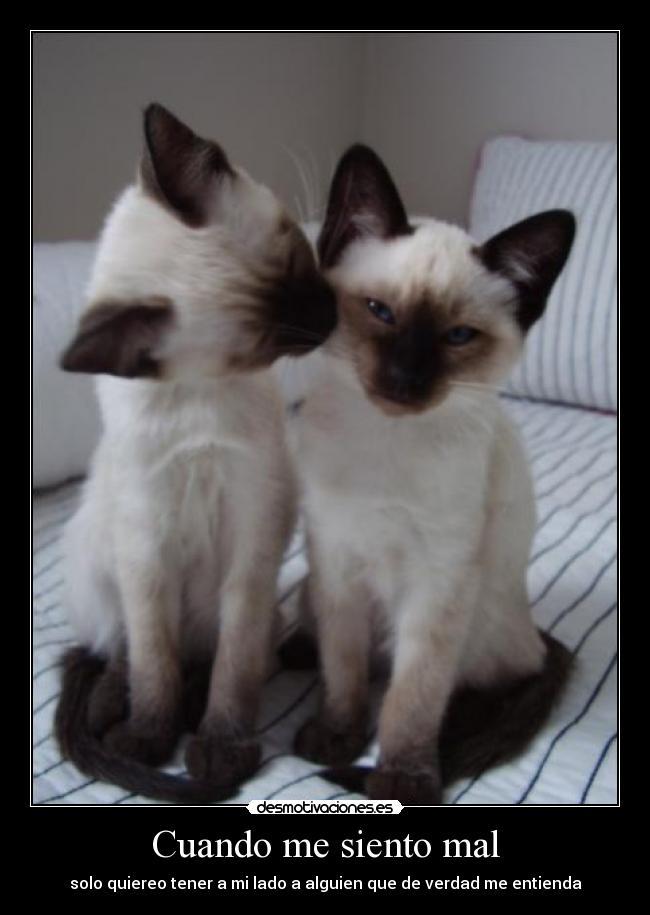 Cuando me siento mal - solo quiereo tener a mi lado a alguien que de verdad me entienda