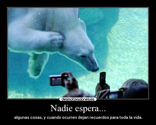 Nadie espera... - algunas cosas, y cuando ocurren dejan recuerdos para toda la vida.