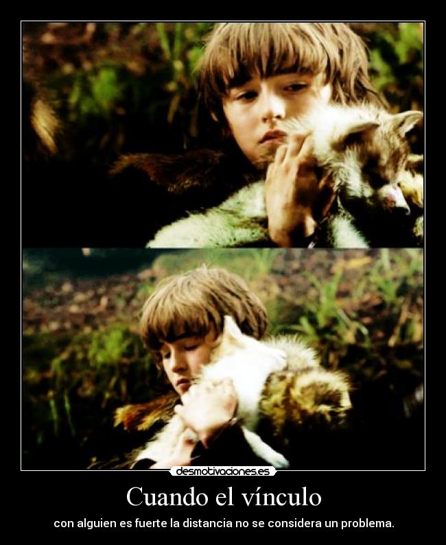 carteles coldblood juego tronos ocurren frases vale encantan los lobos desmotivaciones